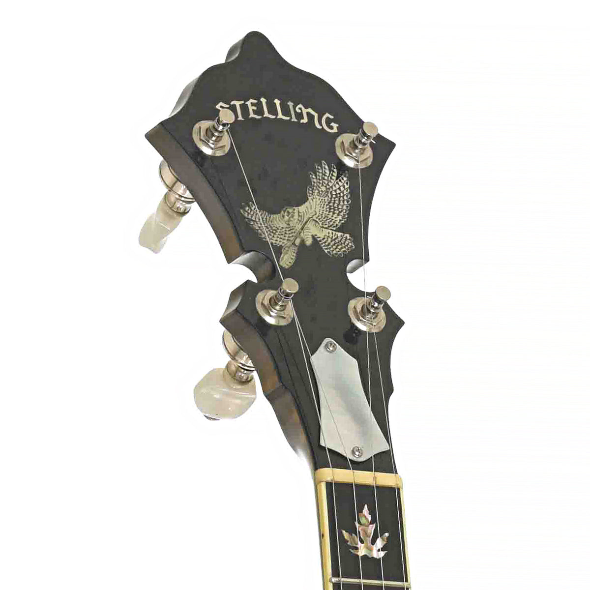 Front Headstock of Stelling Winterhawk #7 Five-String Resonator Banjo