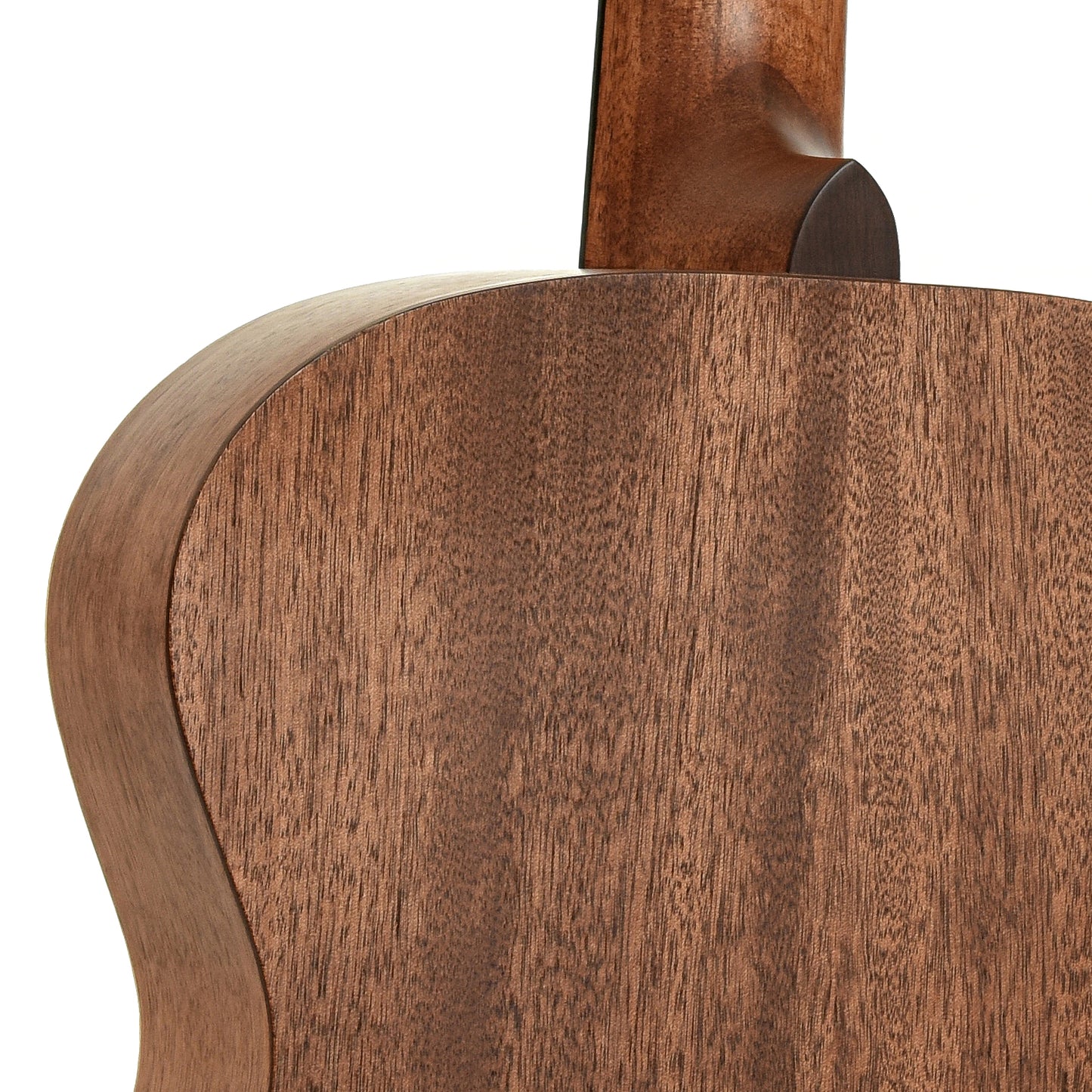Neck joint of AMI Model GME 000-Size Acoustic Guitar