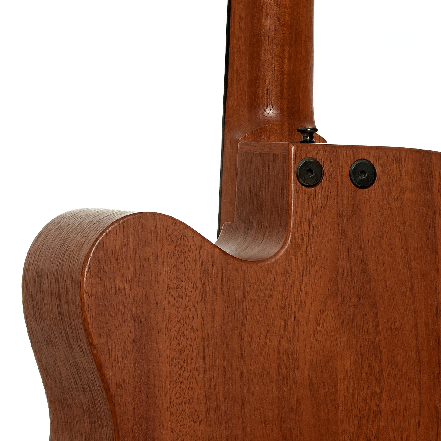 Neck joint of Tacoma CB10C Thunderchief Fretless Acoustic-Electric Bass