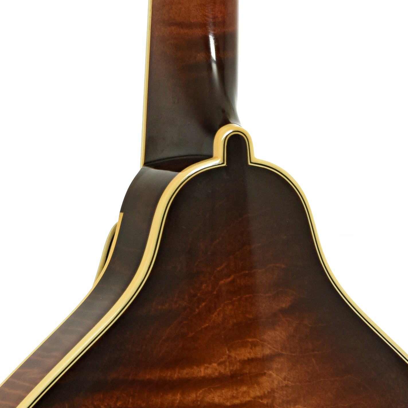 Neck joint of Ellis A-5 Special Mandolin 