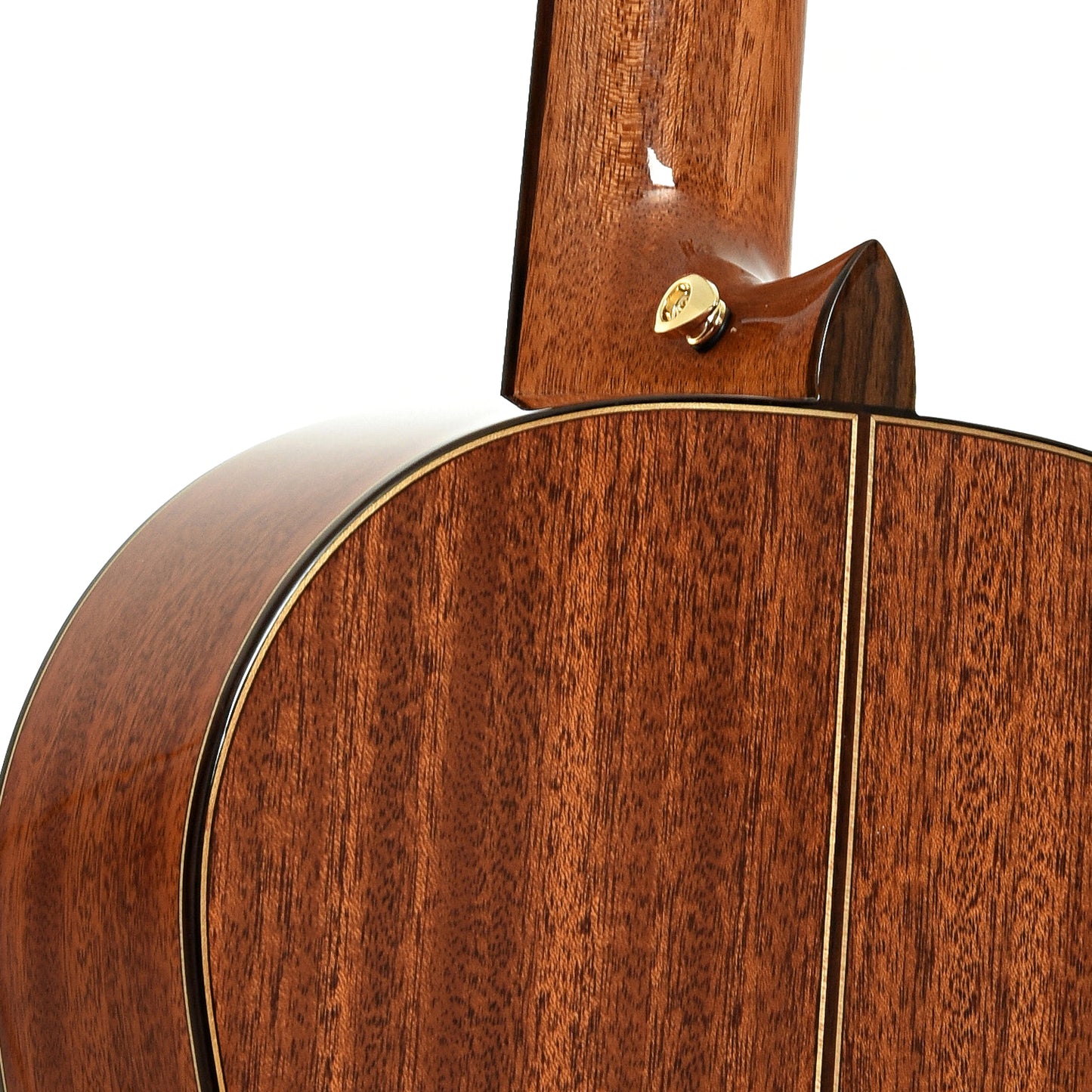 Neck joint of Cordoba C9 Parlor 7/8 Size Classical Guitar 