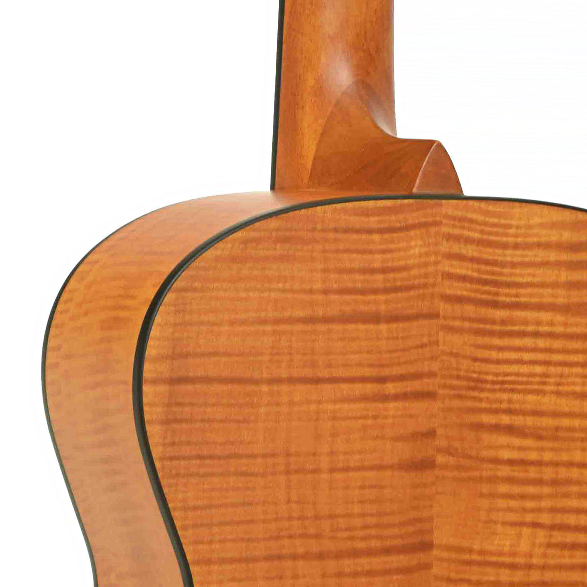 Heel of Epiphone Dobro Hound Dog