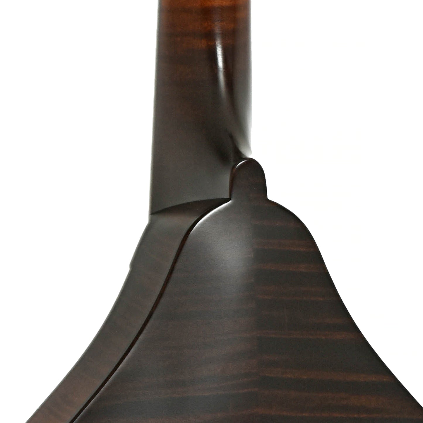 Neck joint of Collings MT Mandola