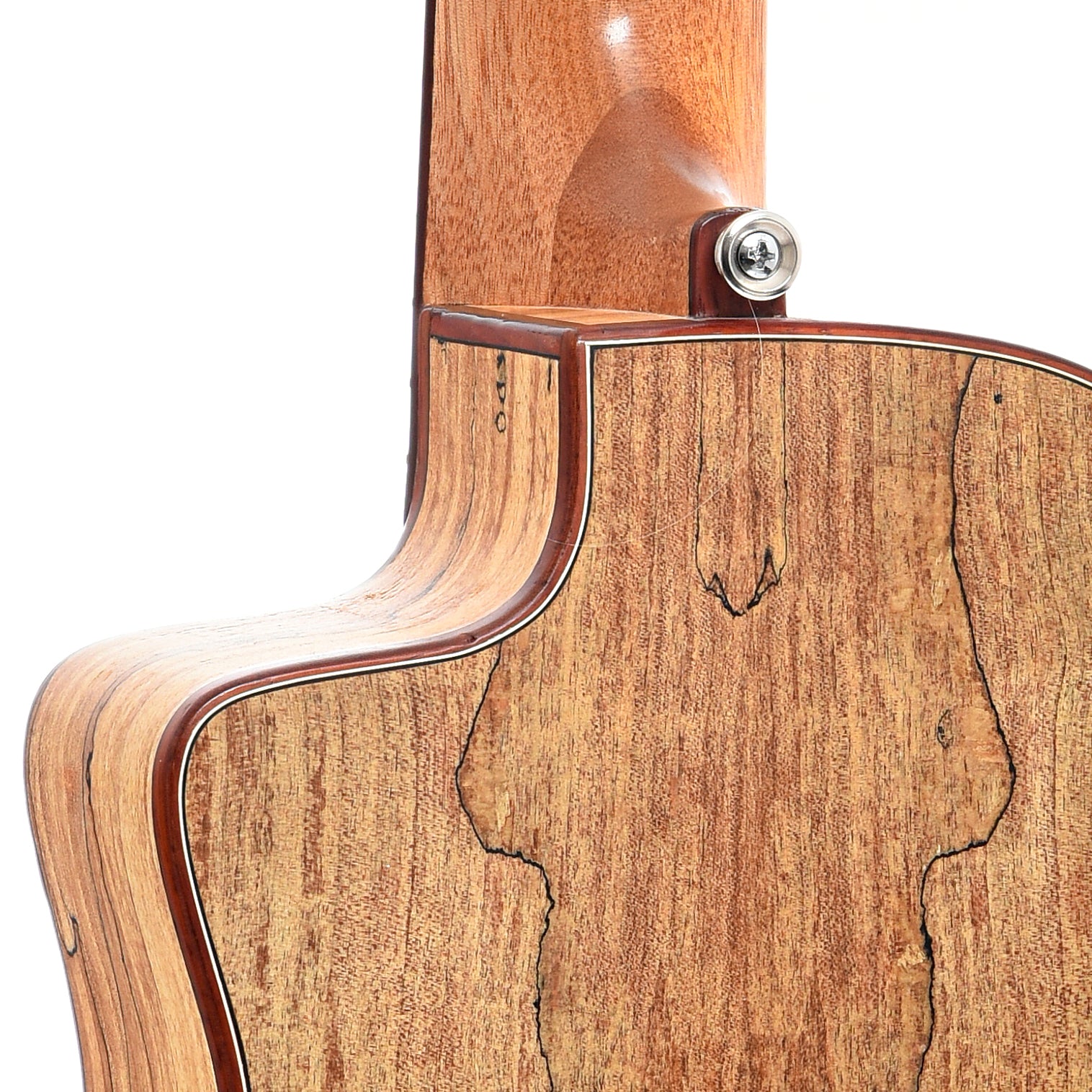 Heel of Cordoba Mini SM-CE Nylon String Acoustic Guitar (2016)