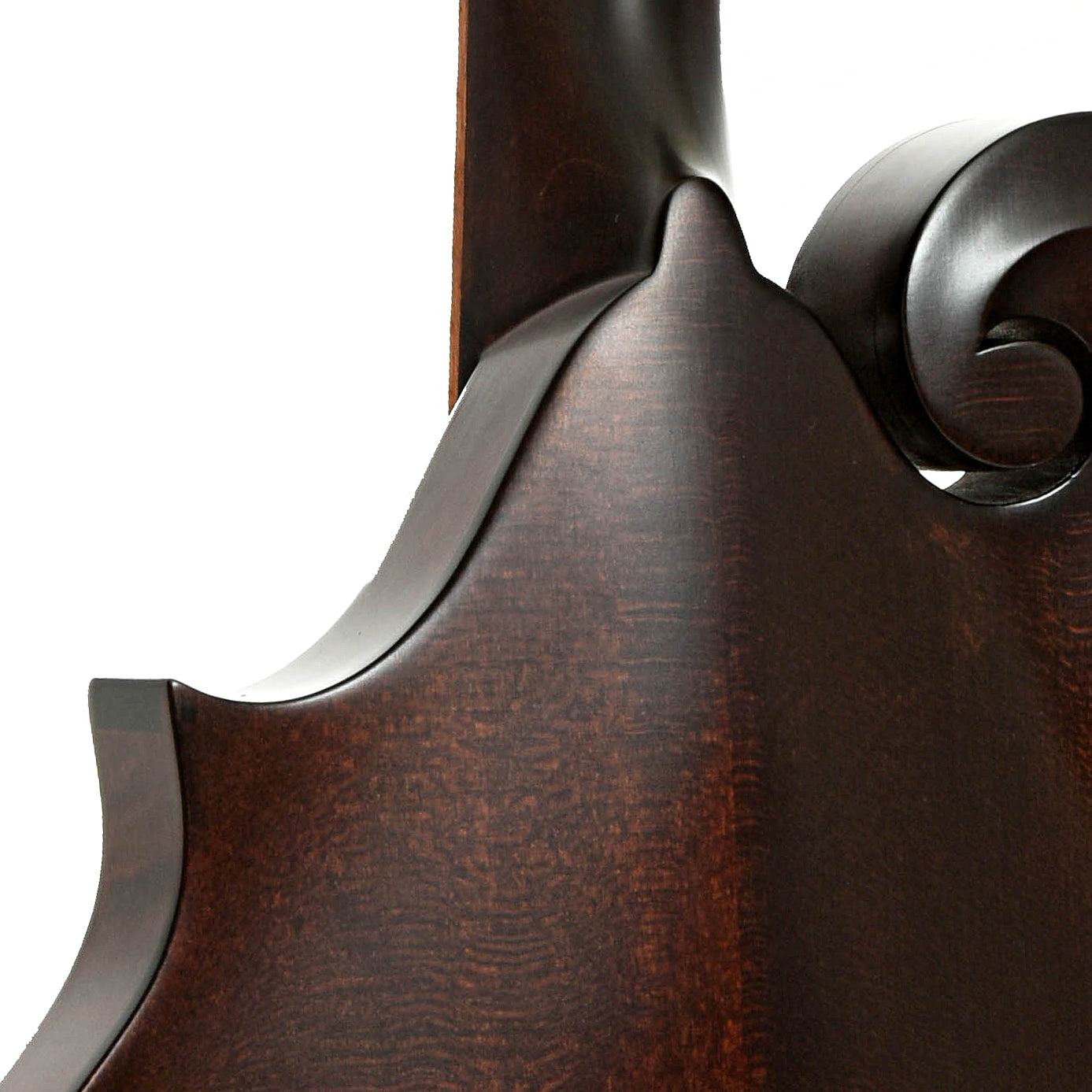 Neck joint of Kentucky KM-626 Oval Hole F-Model Mandolin