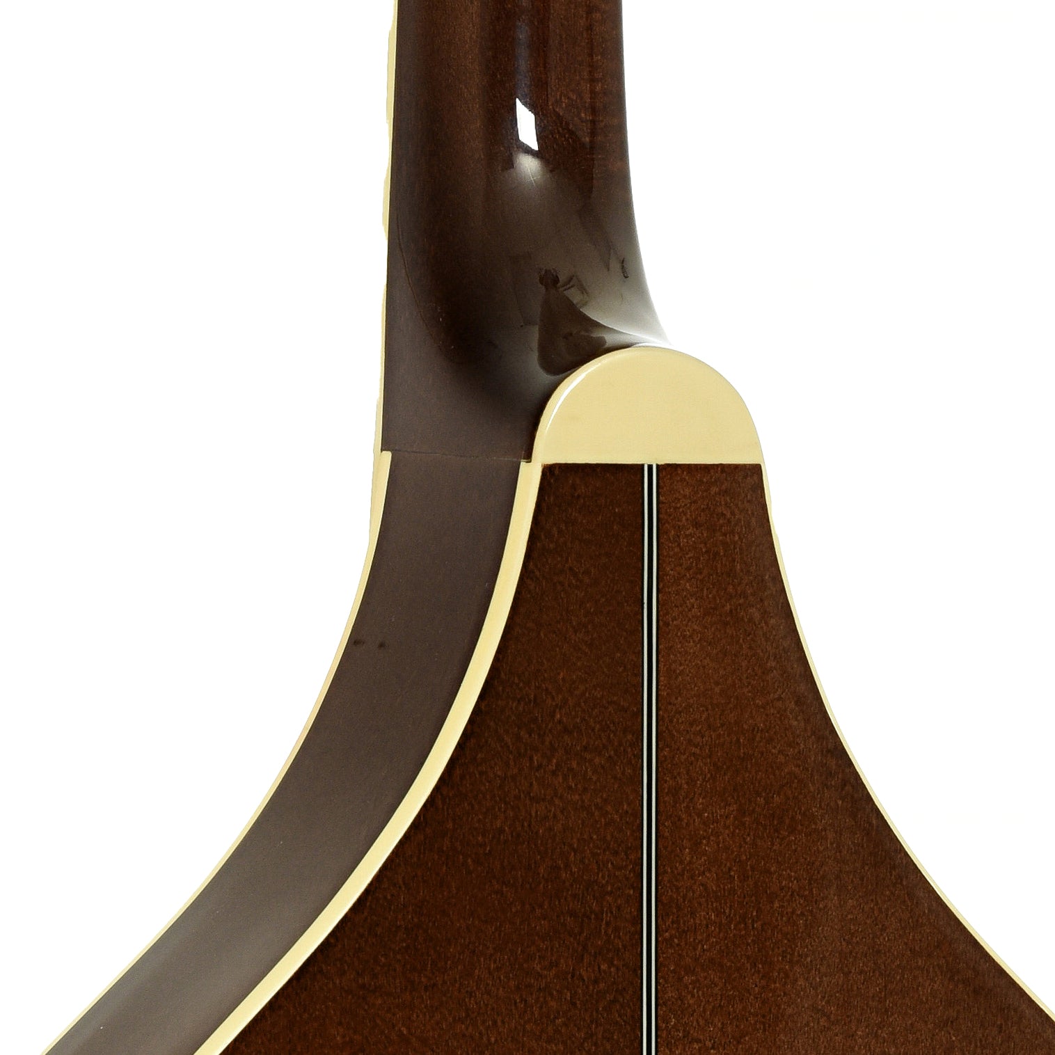 Neck joint of Trinity College TM-325 Octave Mandolin