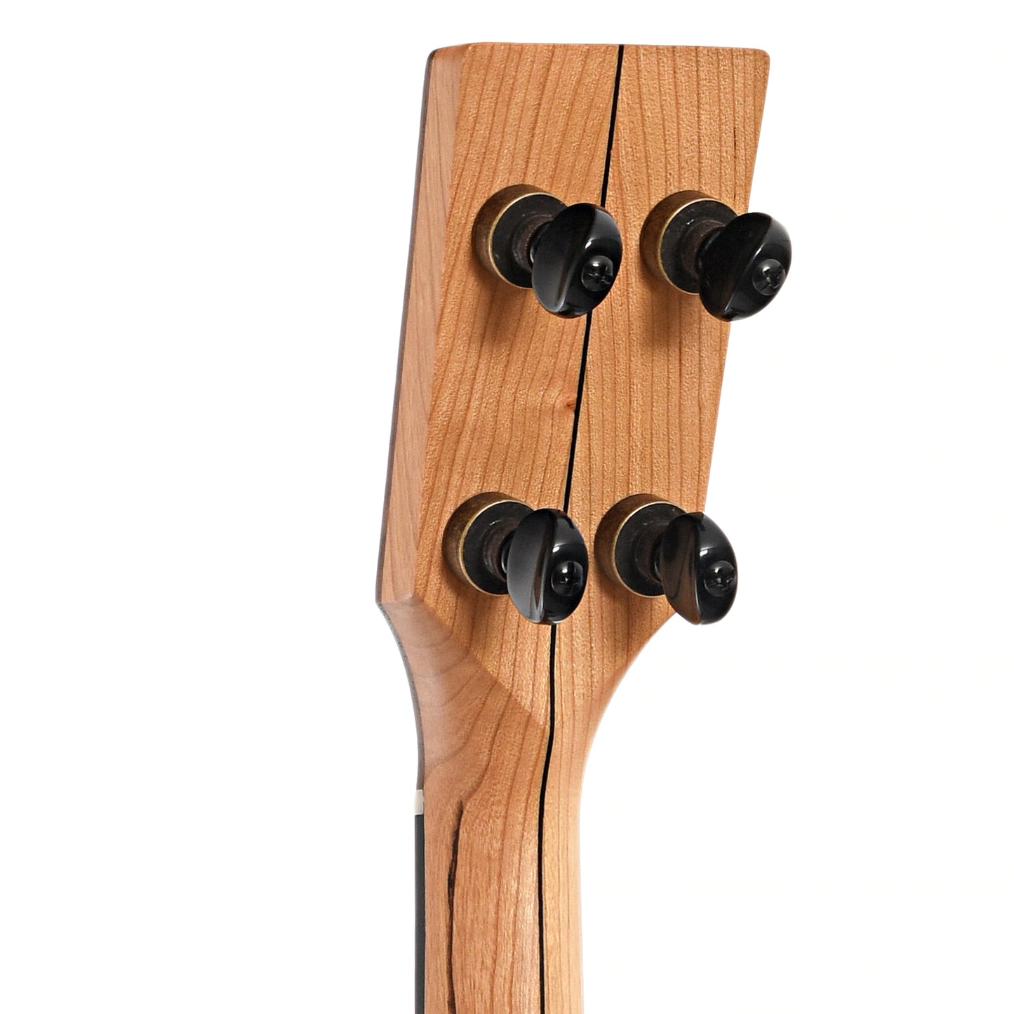 BAck headstock of Pisgah Roscoe Banjo