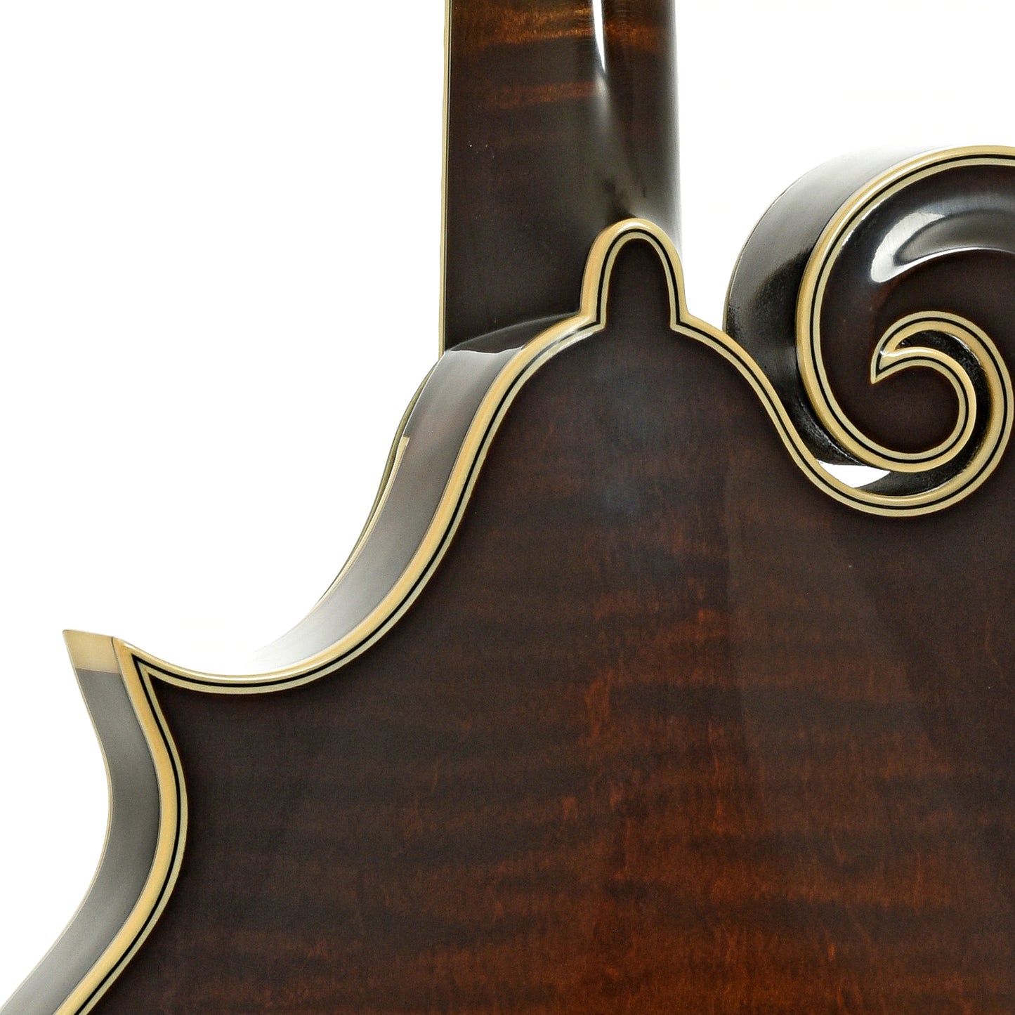Neck joint of Northfield NFB-F5Altd Limited Edition Big Mon F-Style Mandolin 