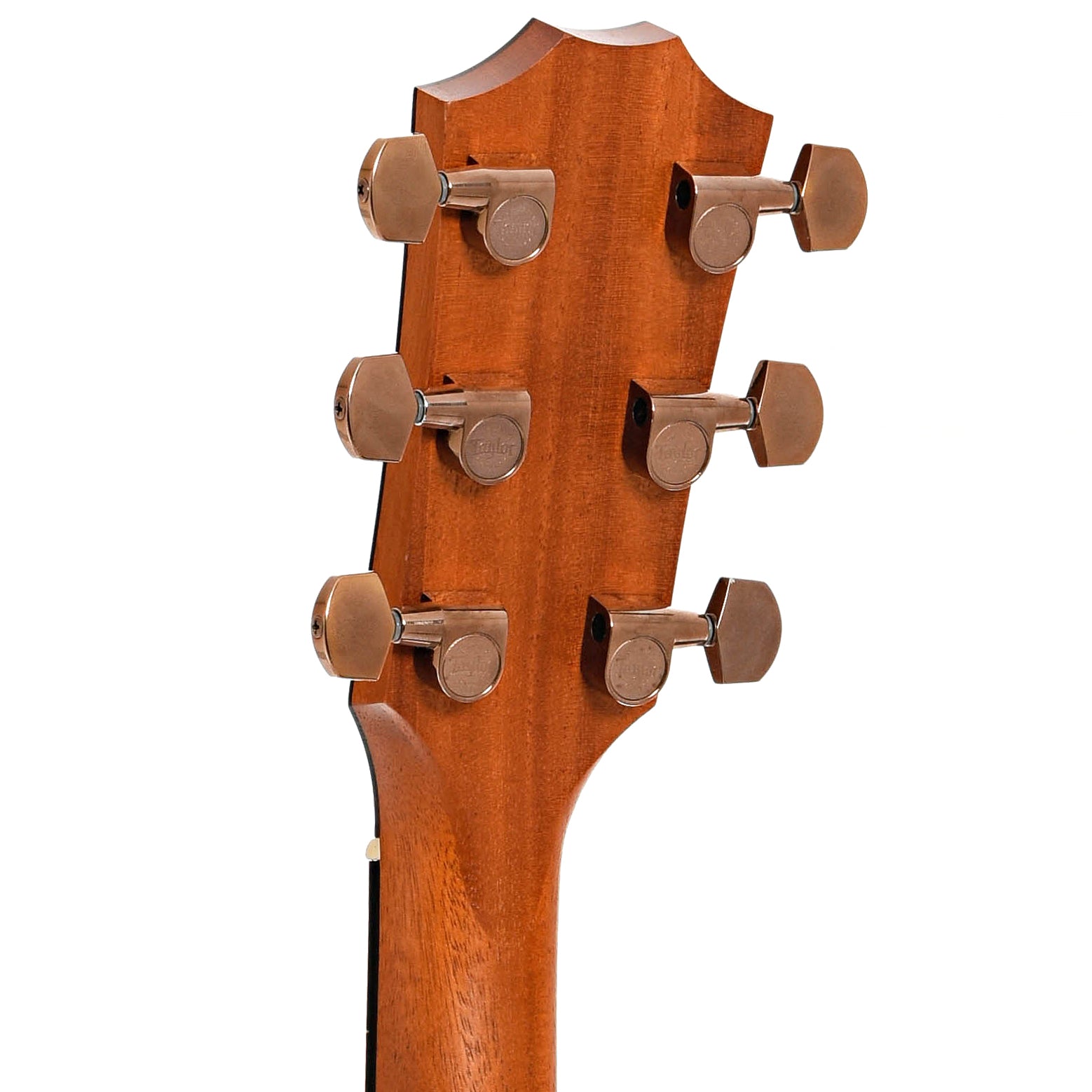 Back headstock of Taylor 214ce-SB DLX Acoustic-Electric Guitar (2020)