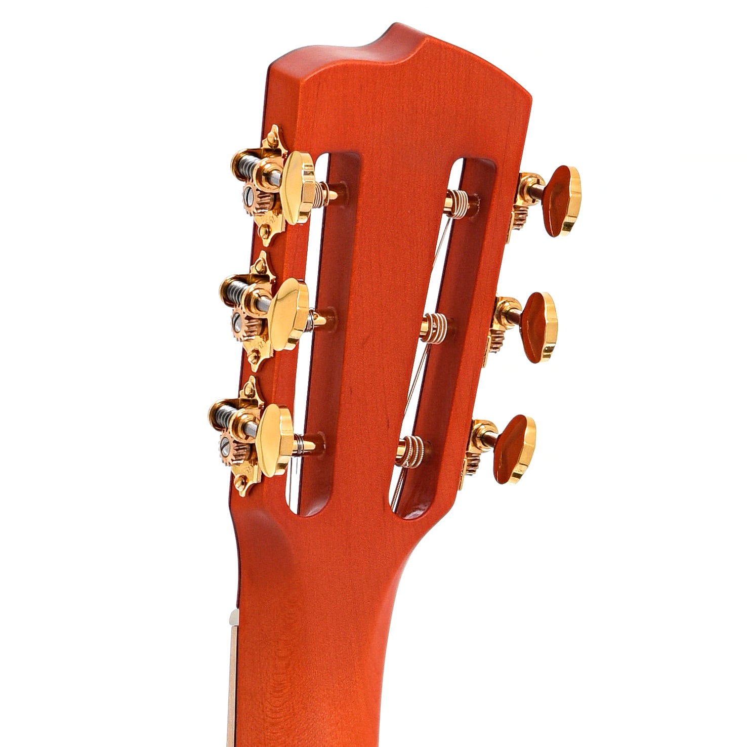 Back headstock of Breedlove Acoustic Concertina M1. Blues Orange (2023)