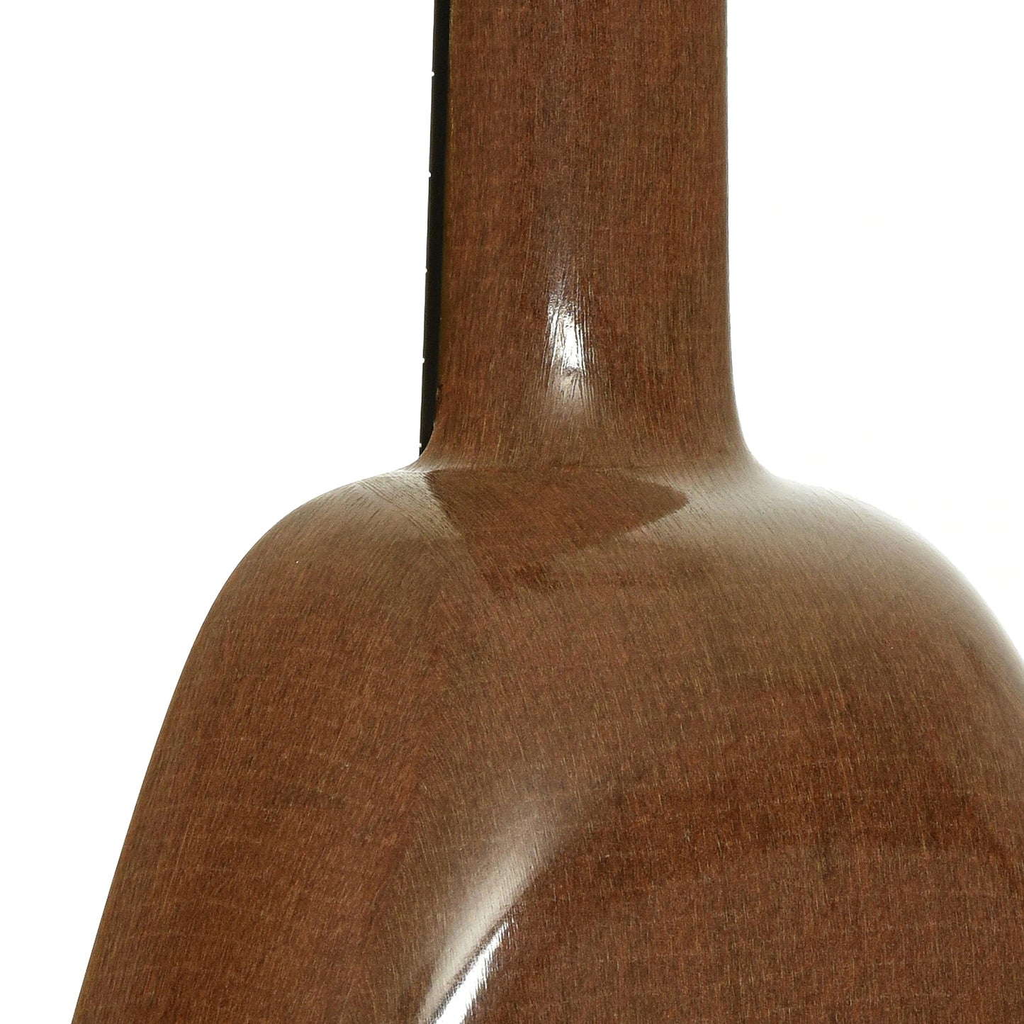 Neck joint of Blackbird Clara Concert Ukulele 