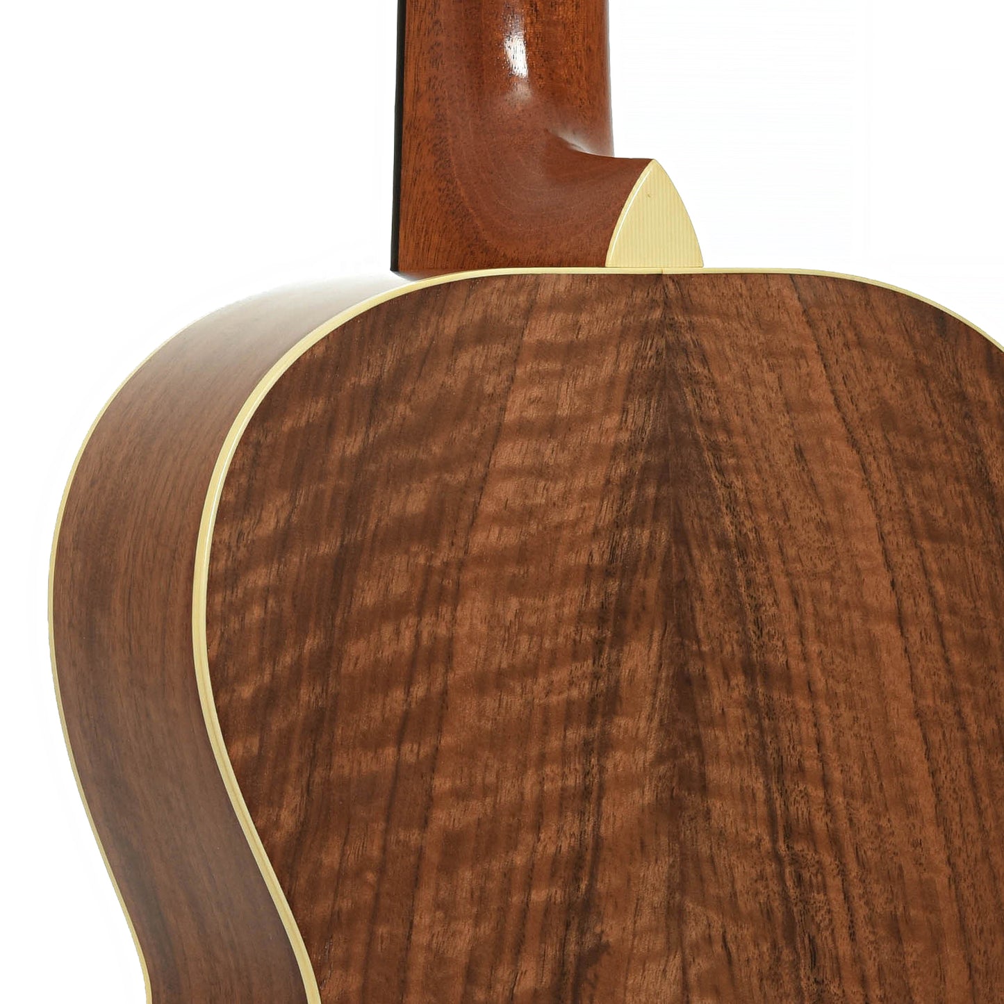 Neck joint of Cirrus Walnut C Parlor Acoustic Guitar 