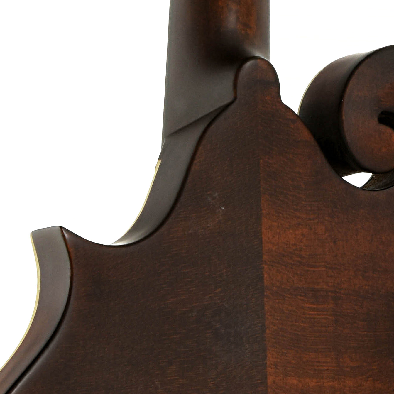 Neck joint of Eastman MD315 F-Style Mandolin 