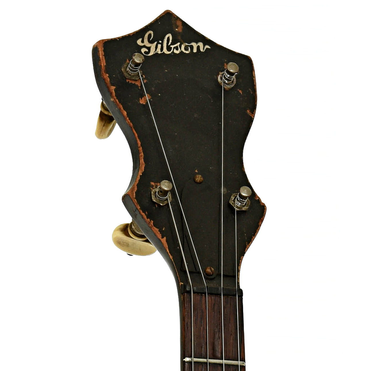 Headstock of Gibson TB-00 Tenor Banjo