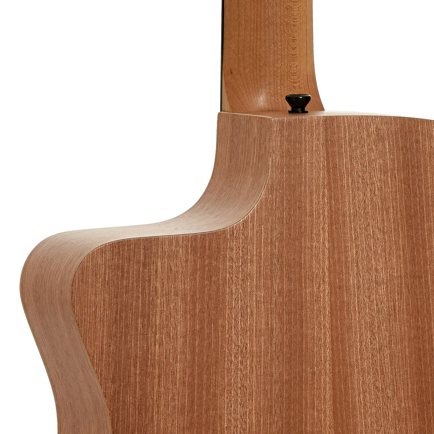 Taylor 24ce Acoustic Guitar & Gigbag