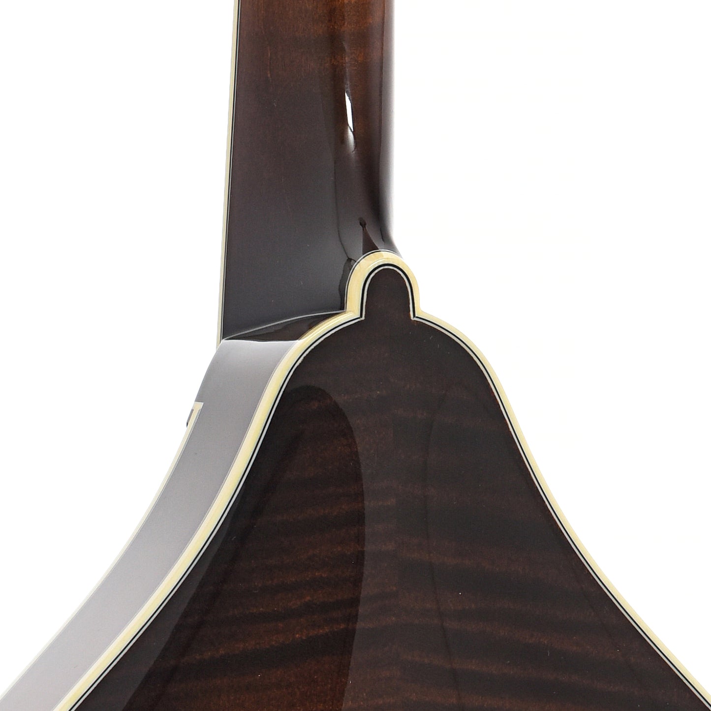 Heel of Collings MT2 A-Model Mandolin 