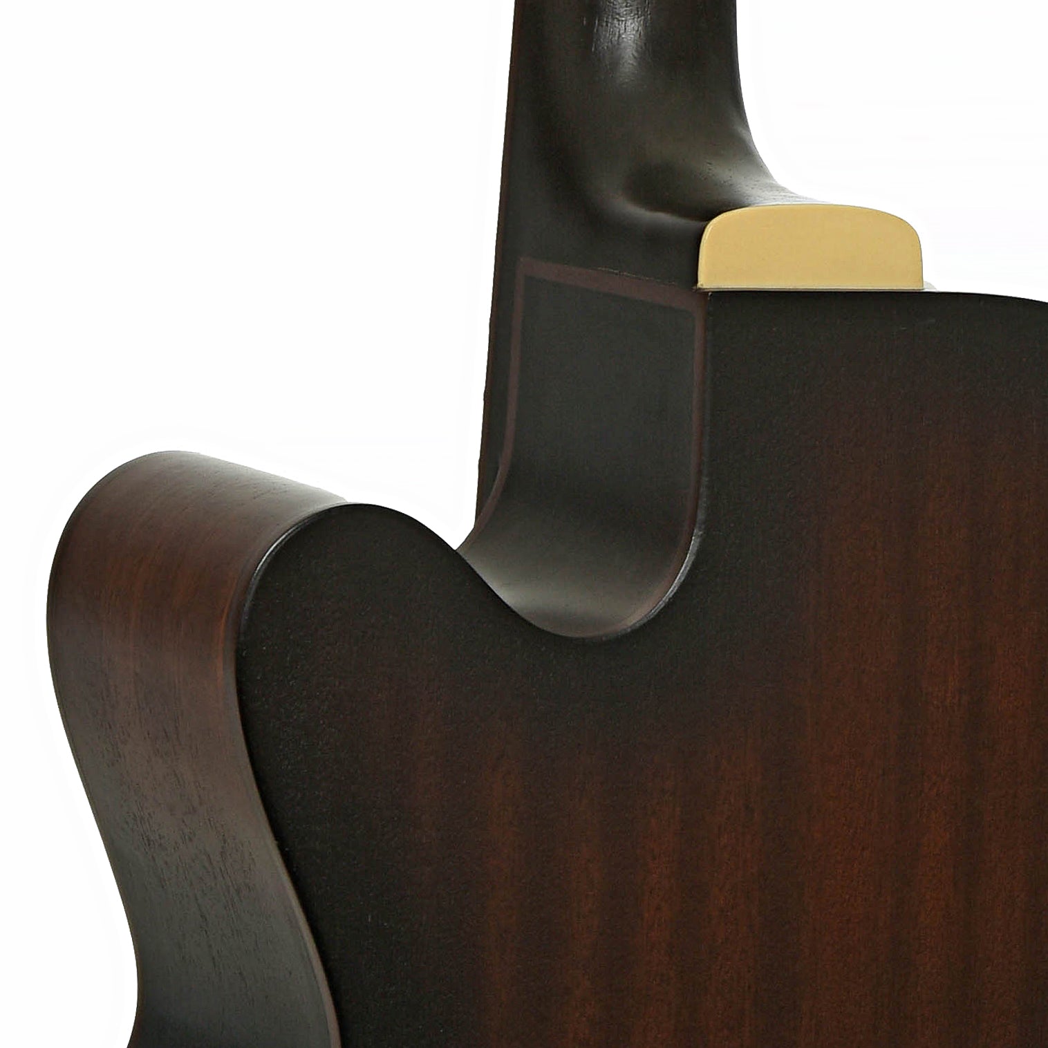 Neck joint of Mitchell T239BCE Acoustic-Electric Bass