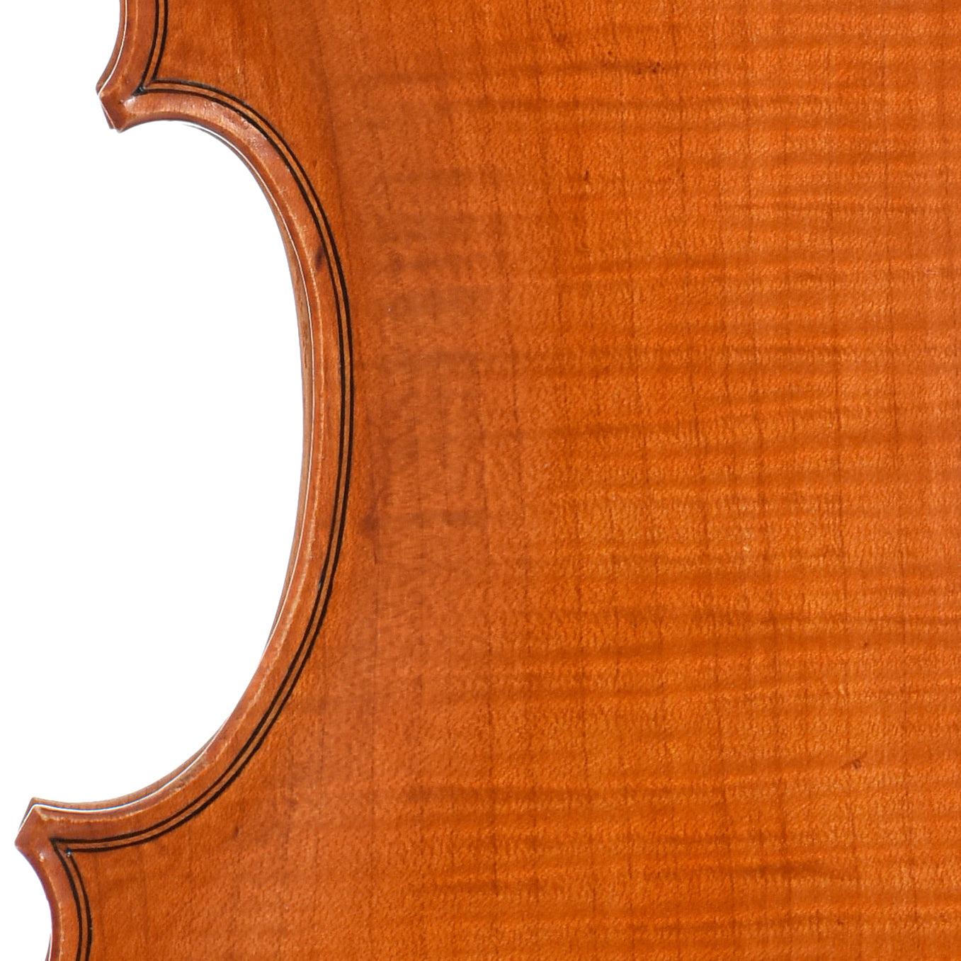 Back detail of Barry Dudley 5-String Violin (2010)