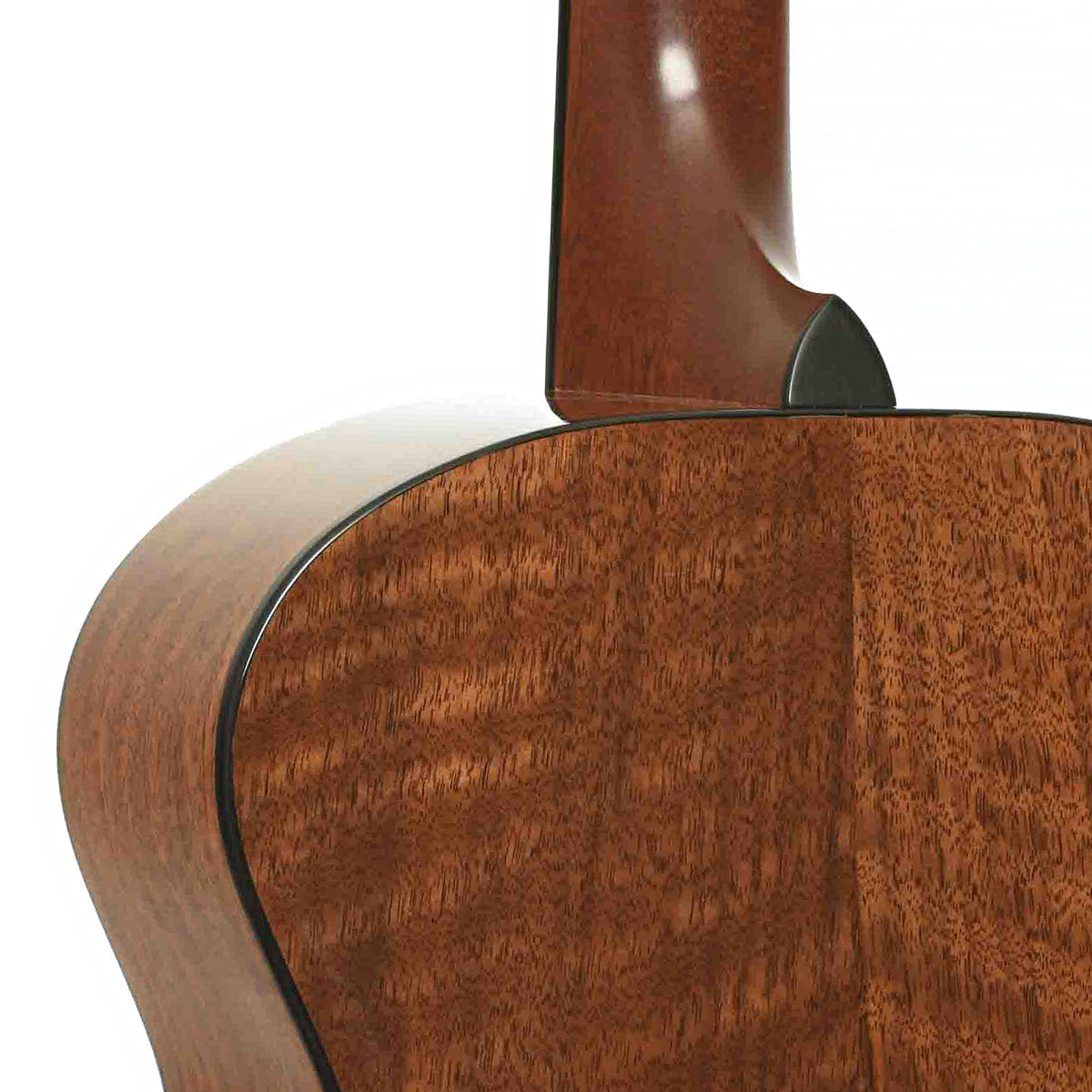 Heel of Breedlove SC20/W Acoustic Guitar