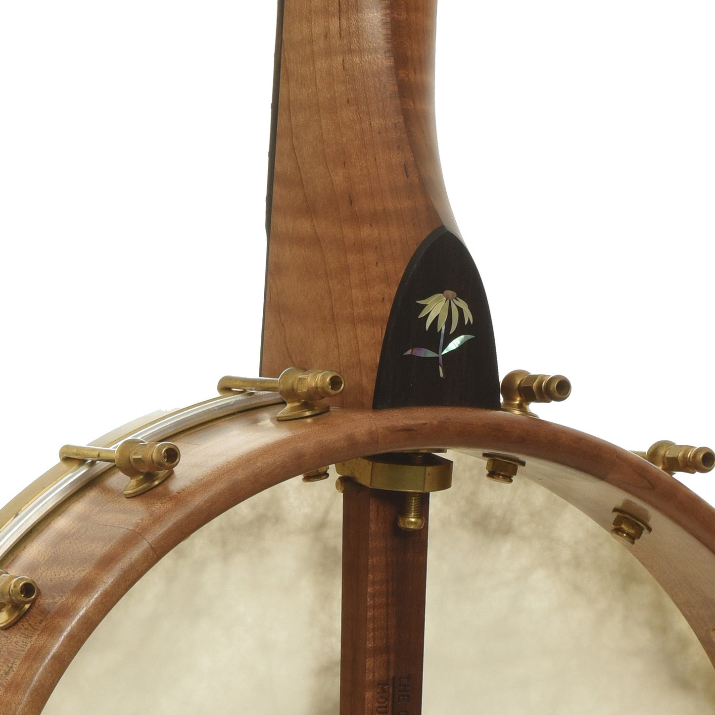 Neck joint of Ozark Banjo Co. Maple Whyte Laydie 12" Openback Banjo