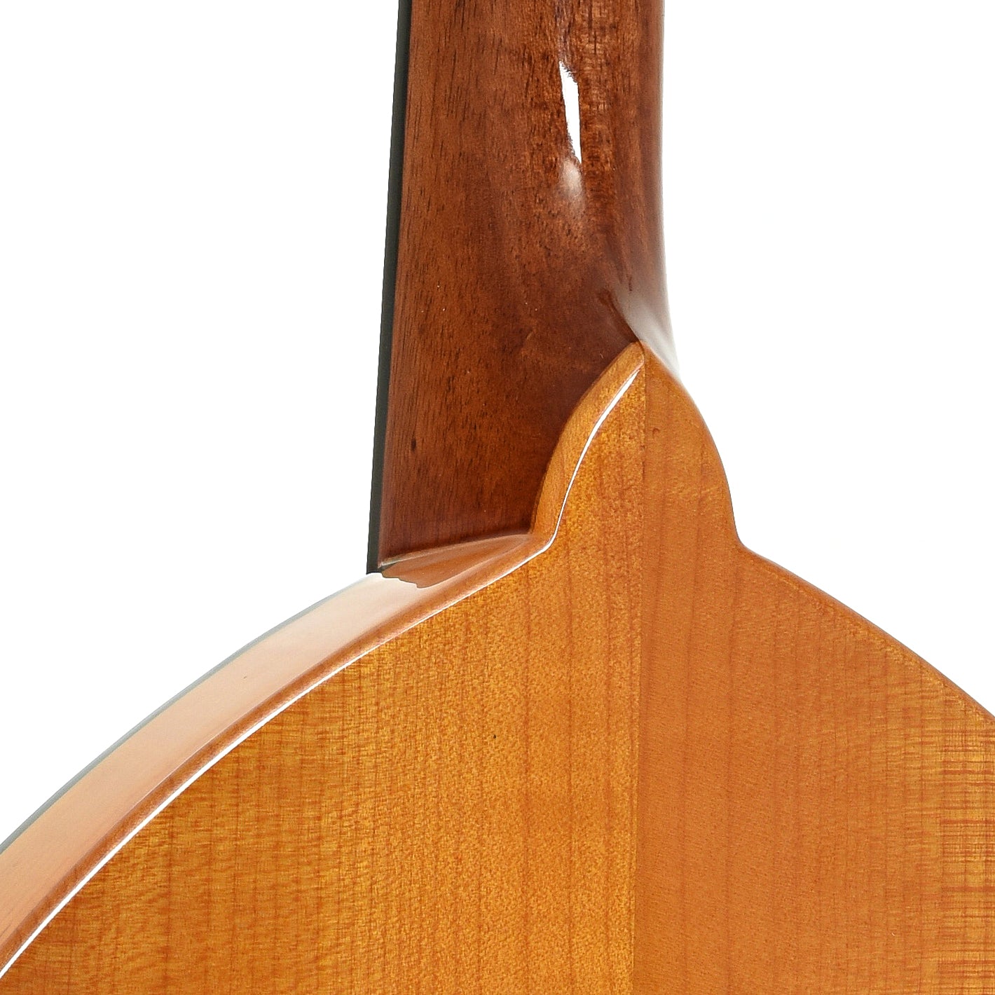 Neck joint of Gold Tone Frypan Mandolin
