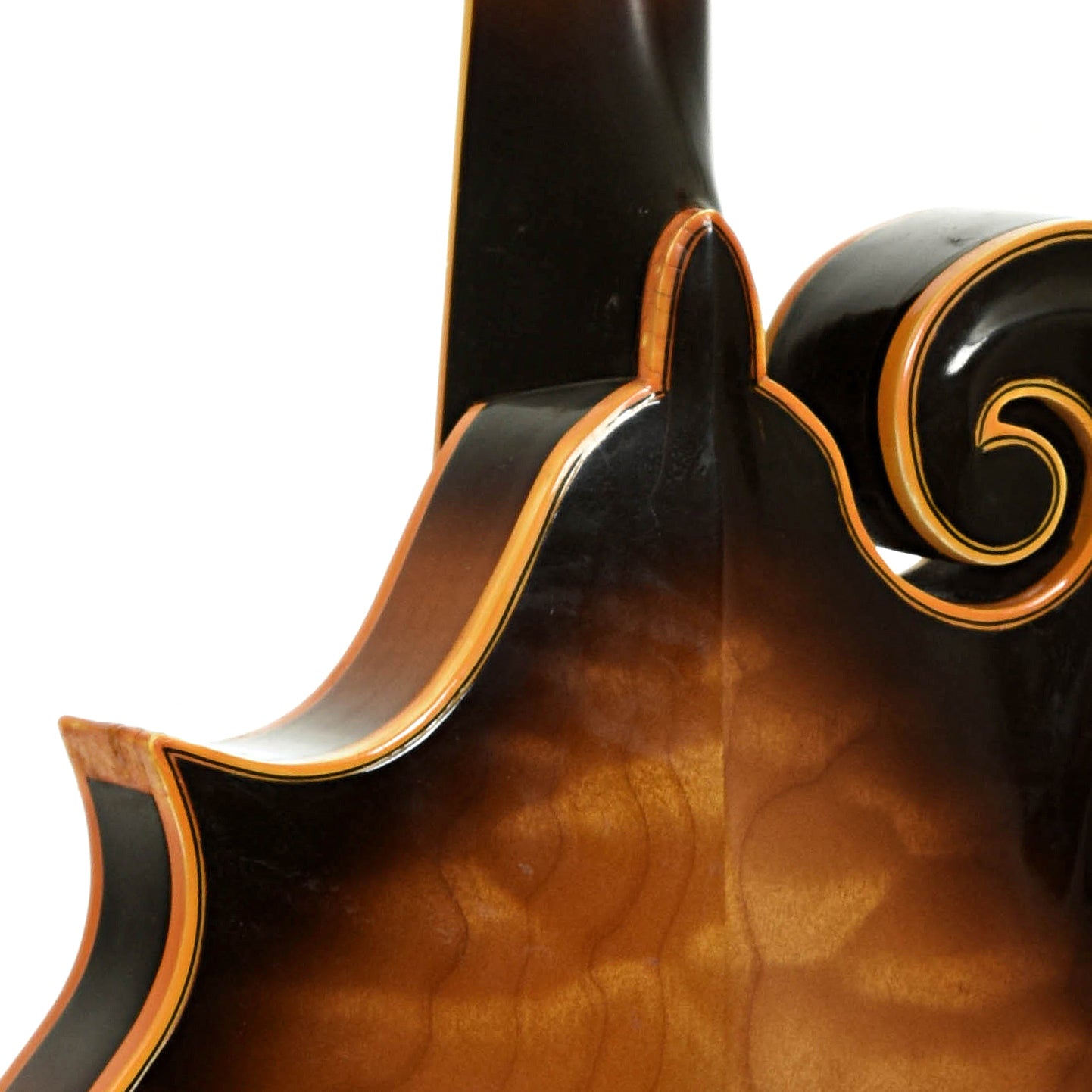 Neck joint of Gibson F-5 Master Model Mandolin