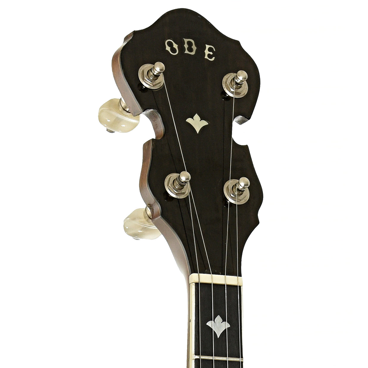 Headstock of Ode Style C 6505 Resonator Banjo