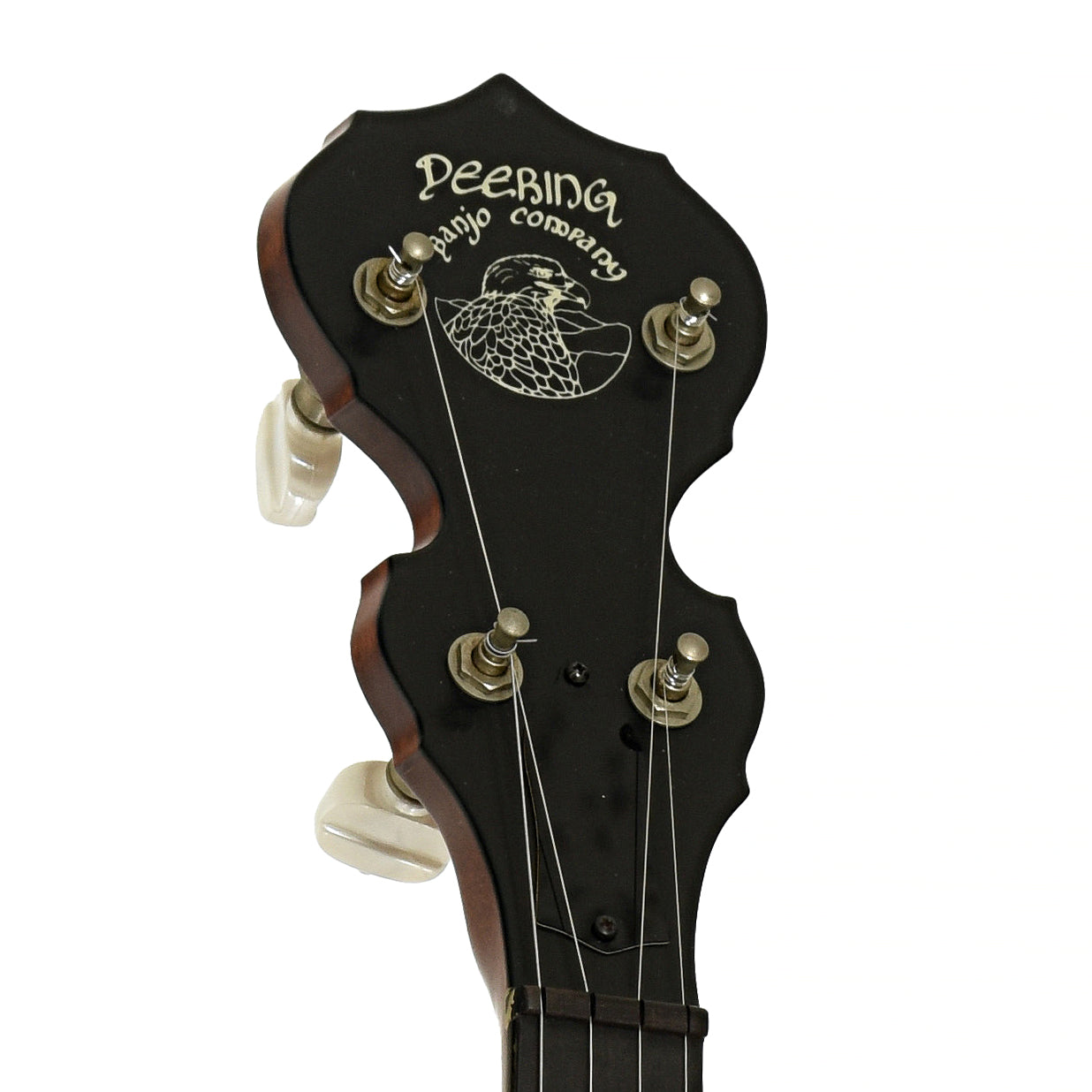 Headstock of Deering Sierra Resonator Banjo