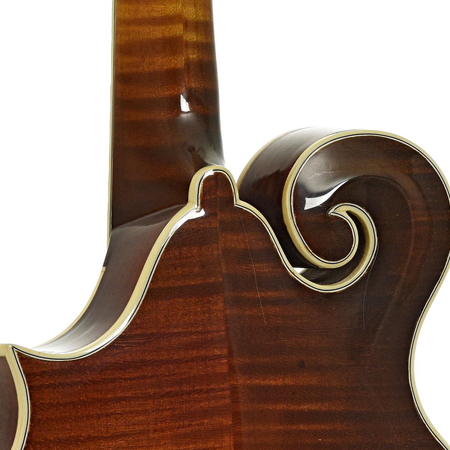 Neck joint of Omeena F-5 Mandolin