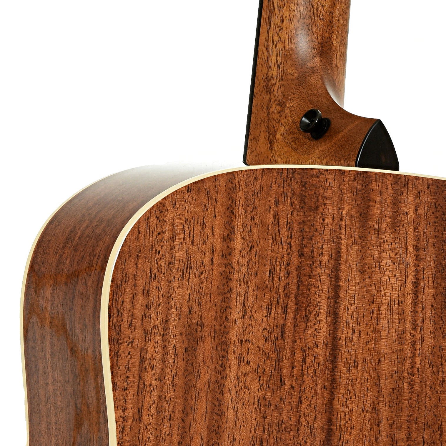 Neck joint of Taylor Gold Label 510e Acoustic-Electric Guitar