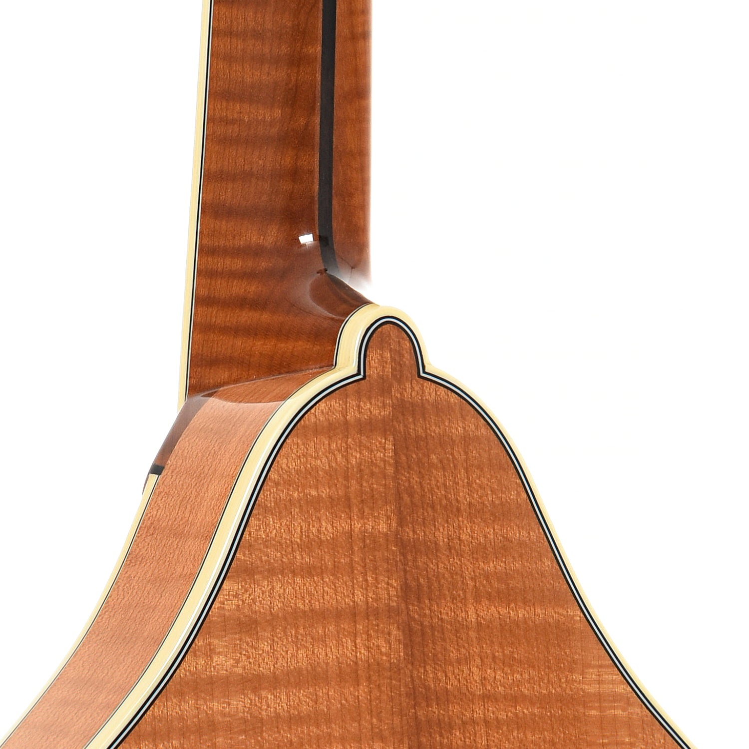 Heel of Bourgeois M5A Mandolin