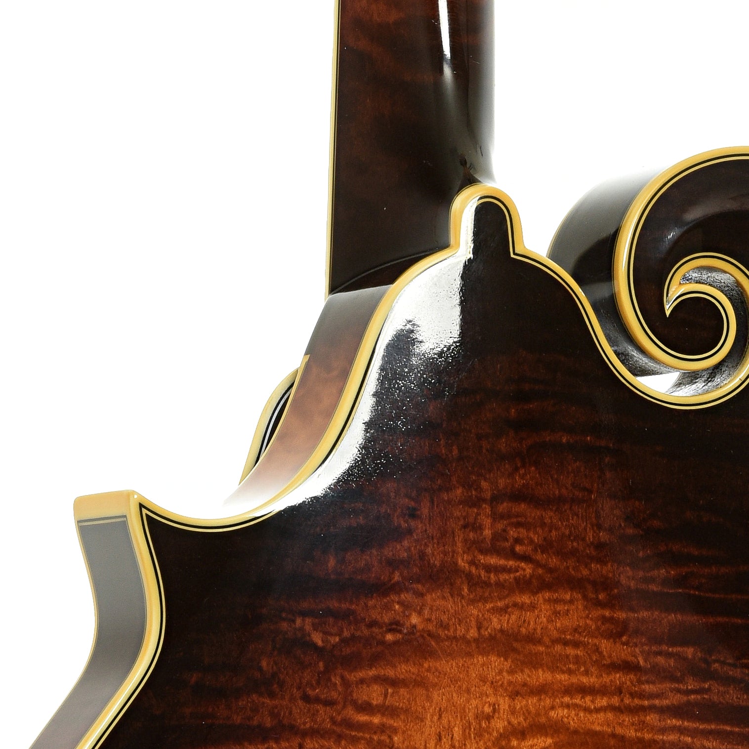 Neck joint of Ellis F-5 Special