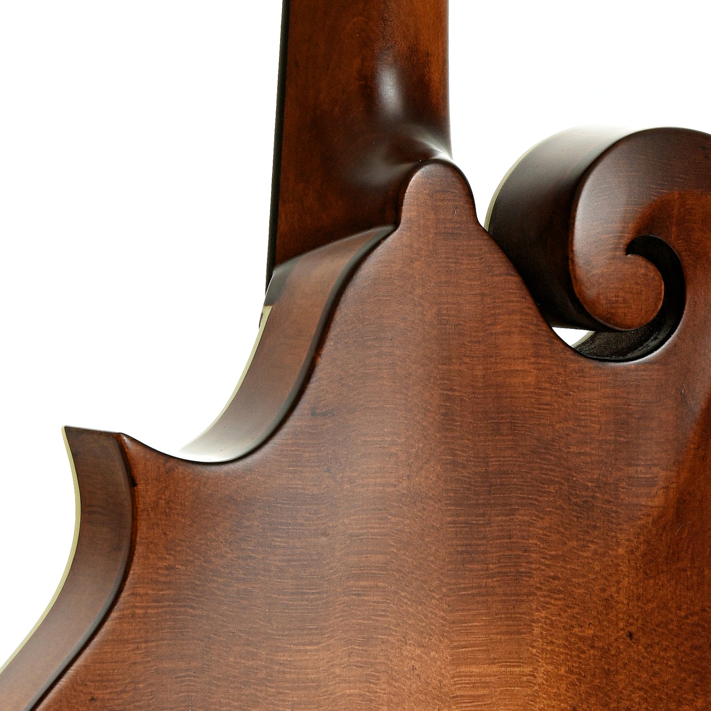 Neck joint of Eastman MD315 Adirondack Wide Neck Amberburst Mandolin