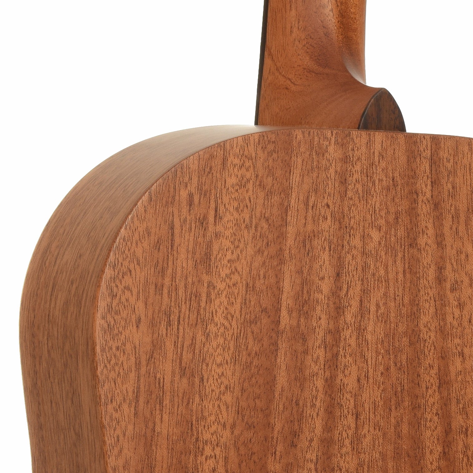 Neck joint of Larrivee Simple 6 D Dreadnought Acoustic Guitar