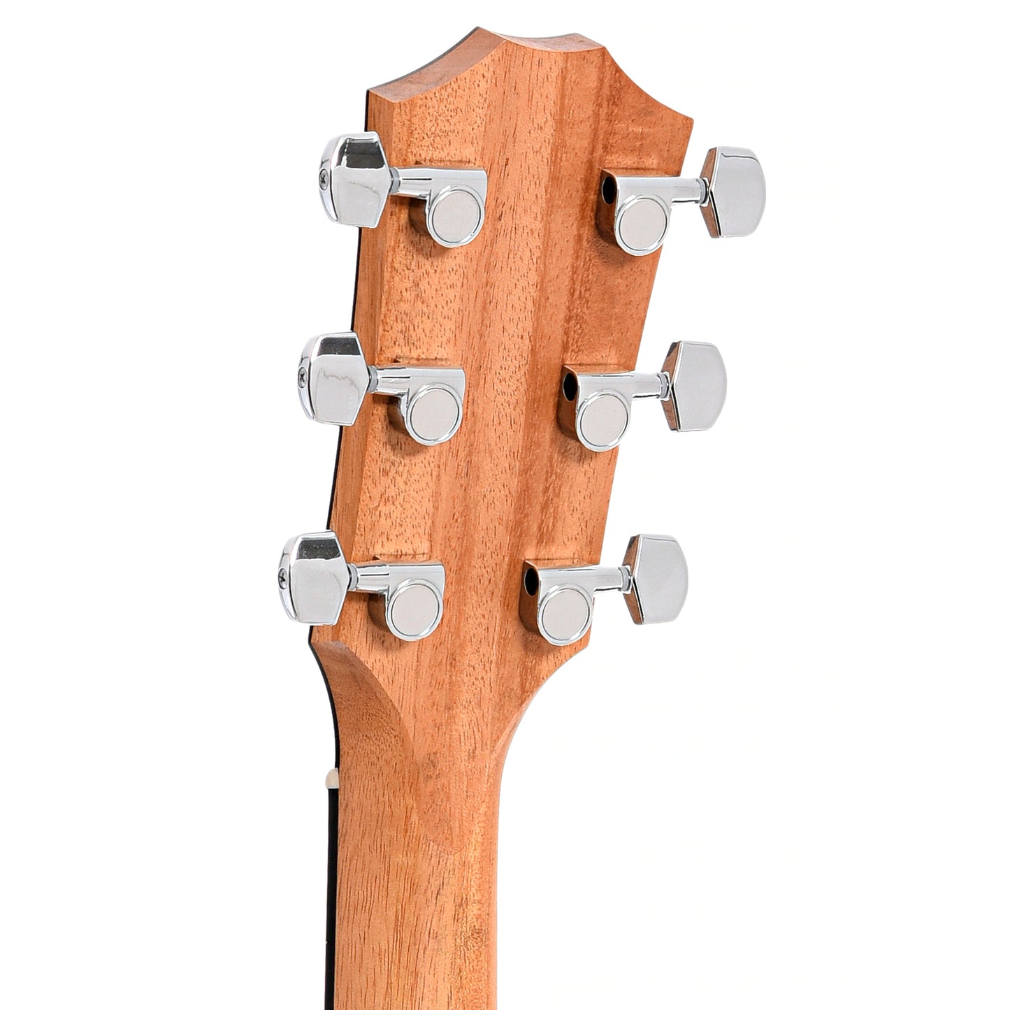 Back headstock of Taylor 214ce Acoustic Guitar