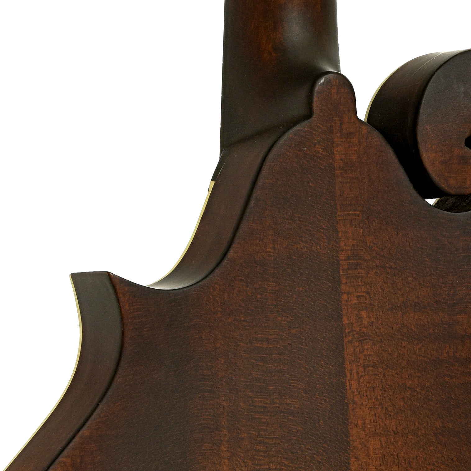 Neck joint of Eastman MDA315 Mandola