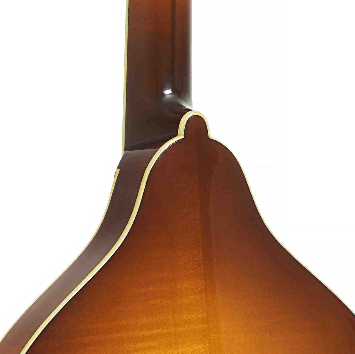 Heel of MDO-605 Octave Mandolin