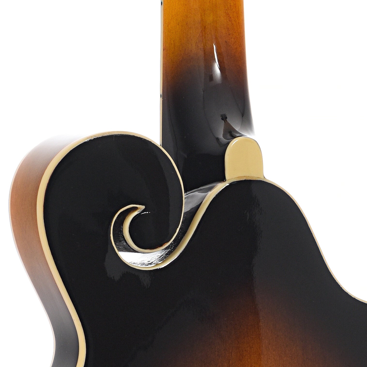 Heel of Gold Tone GM-35/L Lefthanded F-Model Mandolin