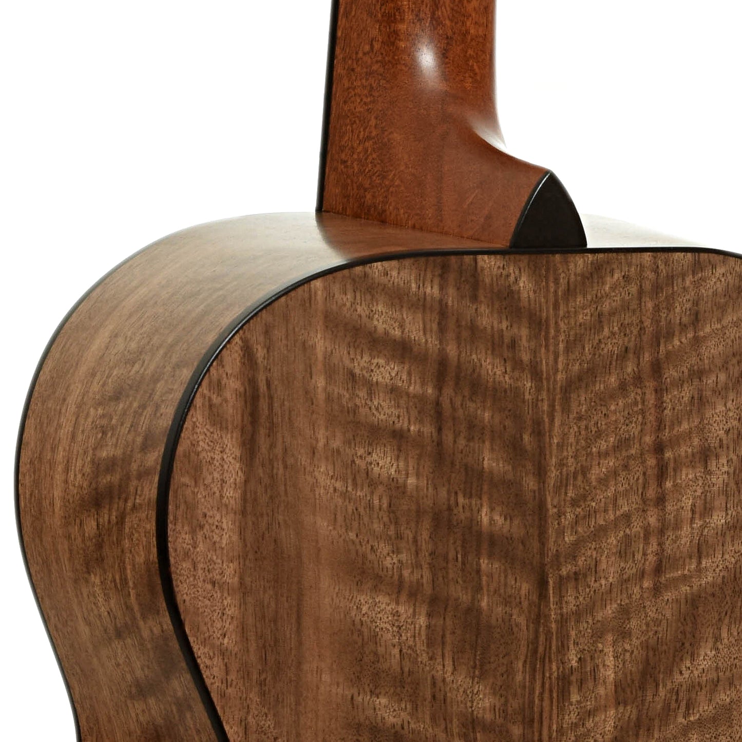 Neck joint of Cirrus Single 0 Walnut Acoustic Guitar
