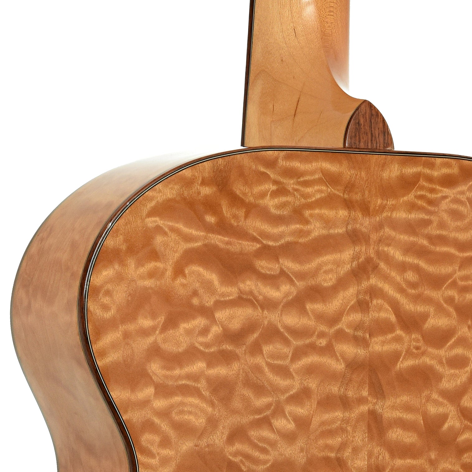 Neckjoint of Breedlove J-20 / Mp Acoustic Guitar