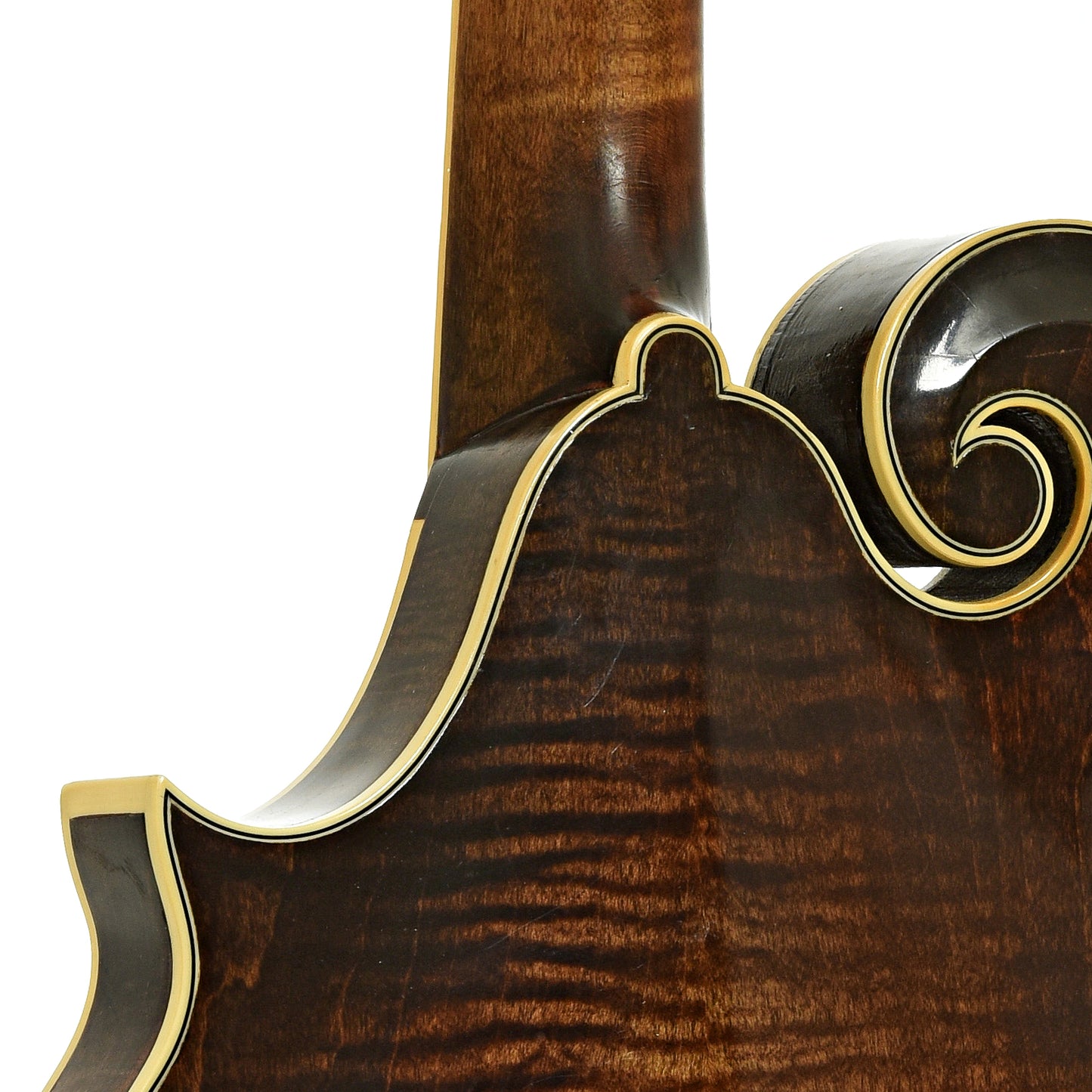 Neck joint of Newson F-5 Fern Mandolin 