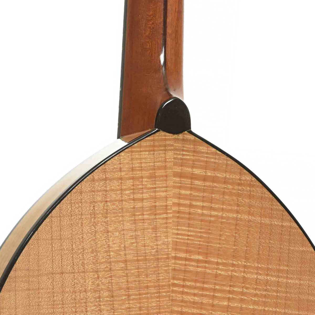 Heel of Flatiron 3MC Mandolin