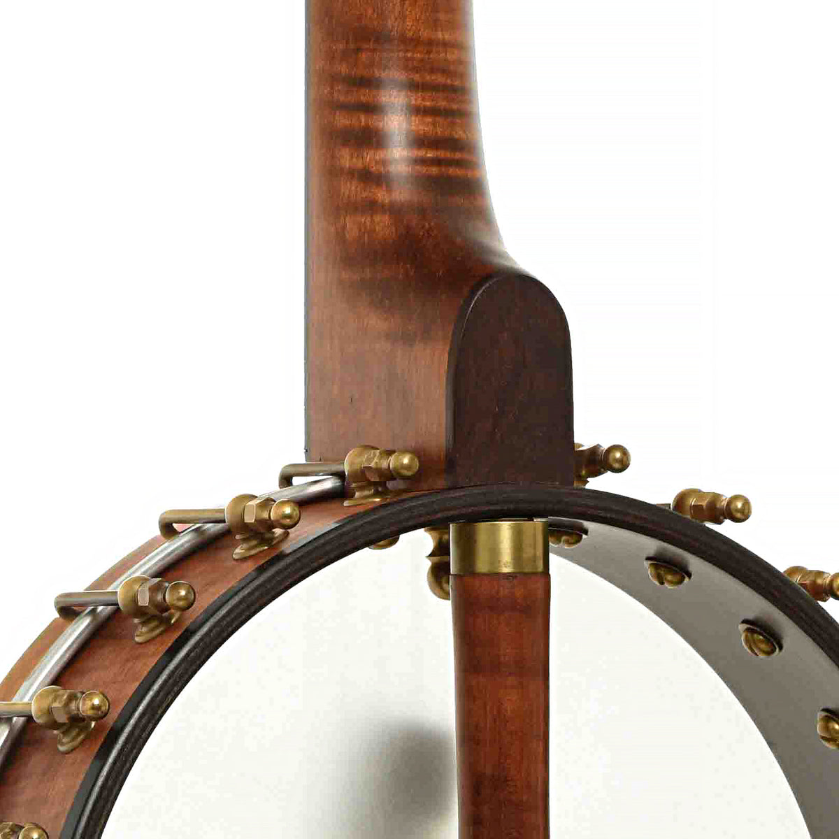 Heel of Starr 11 in. Curly Maple Openback