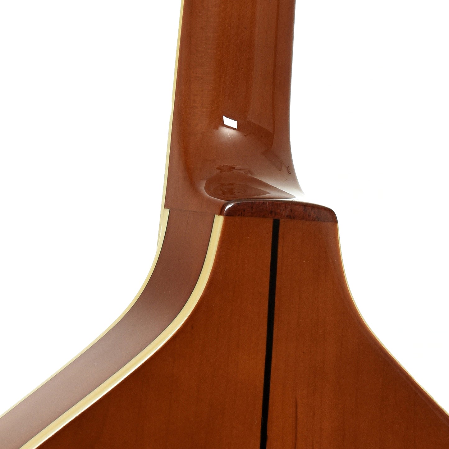 Neck joint of Trinity College TM-250 Celtic Mandolin 