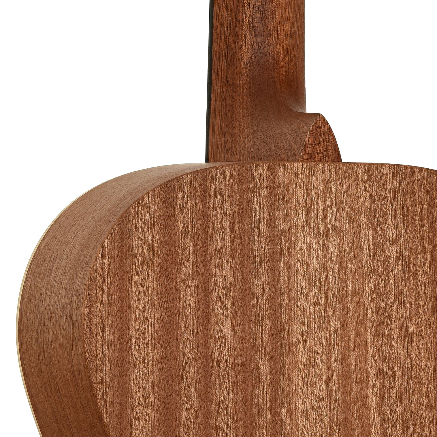 Neck joint of Martin 00L-17 Earth Guitar 