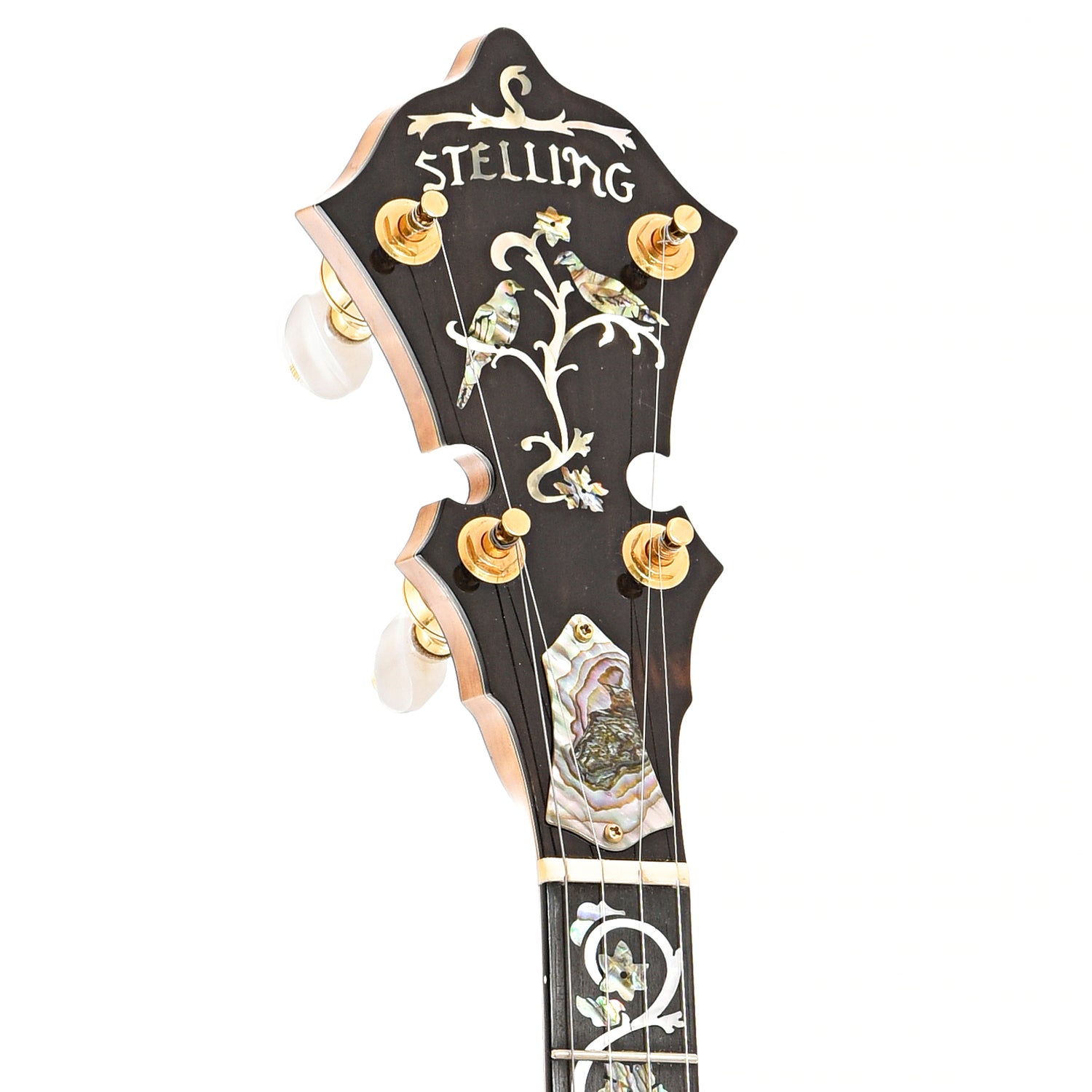 Front headstock of Stelling Tree of Life Custom Resonator Banjo