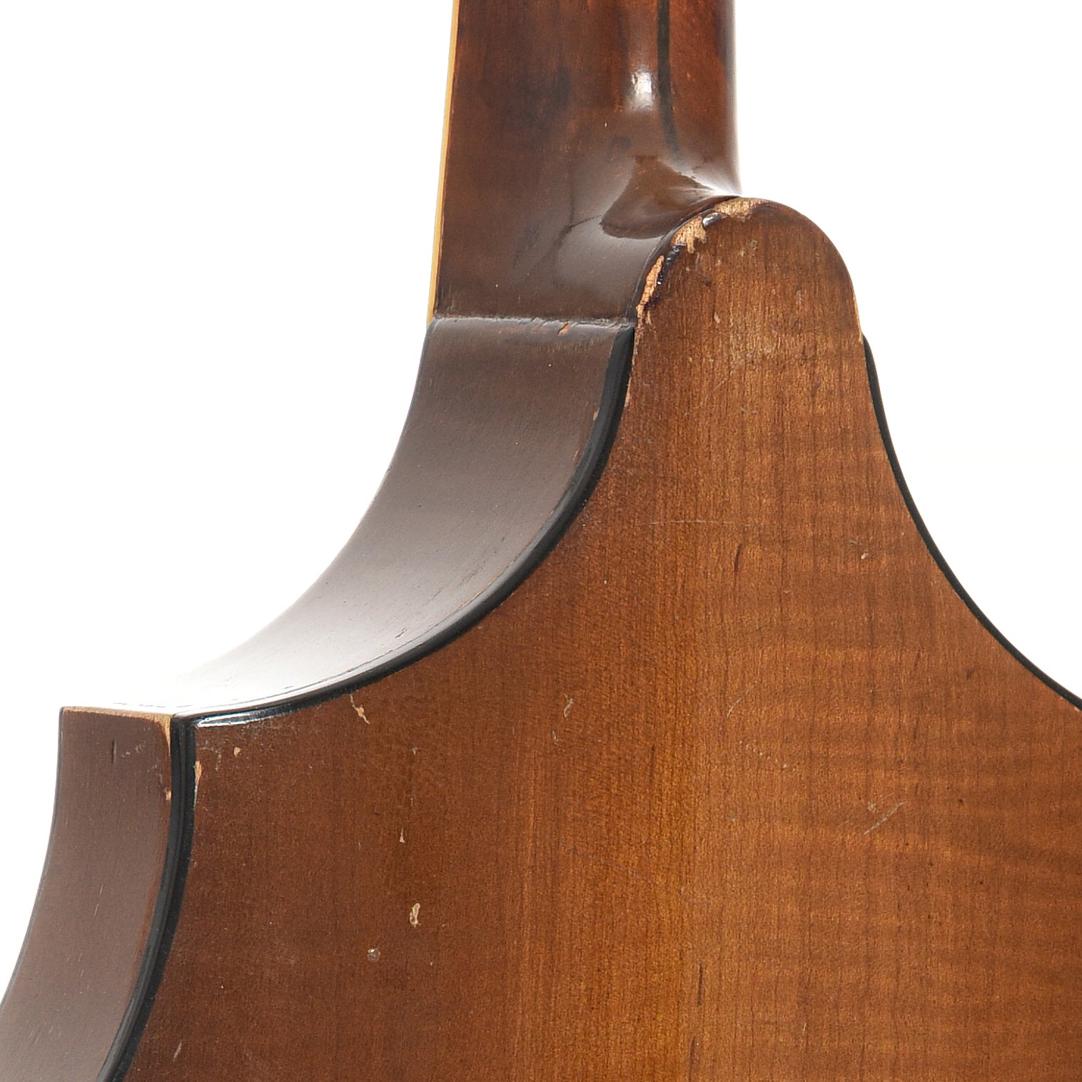 Heel of Vega 205 Cylinder Back Mandolin (c.1920)