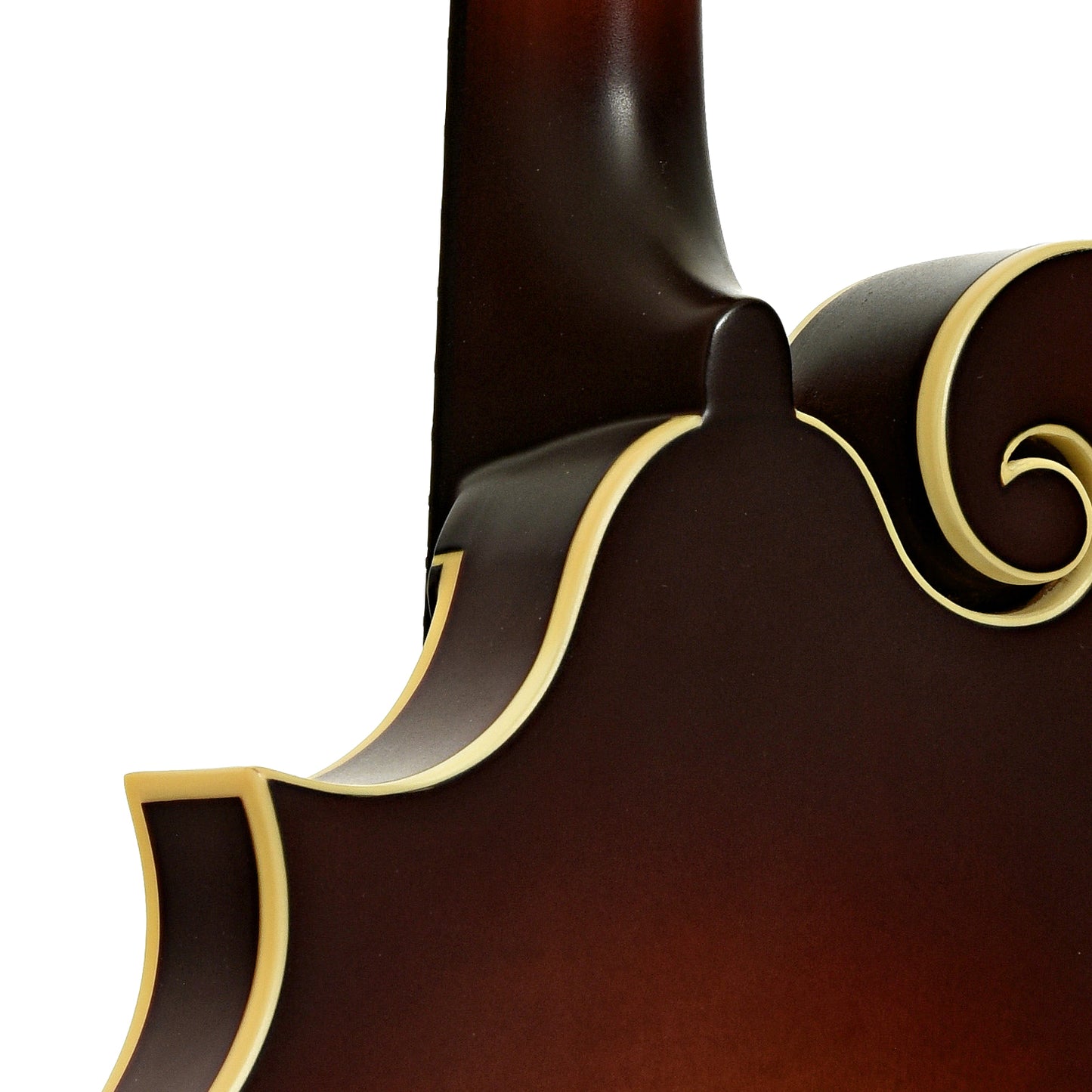Neck joint of The Loar "Honey Creek" F-Style Mandolin