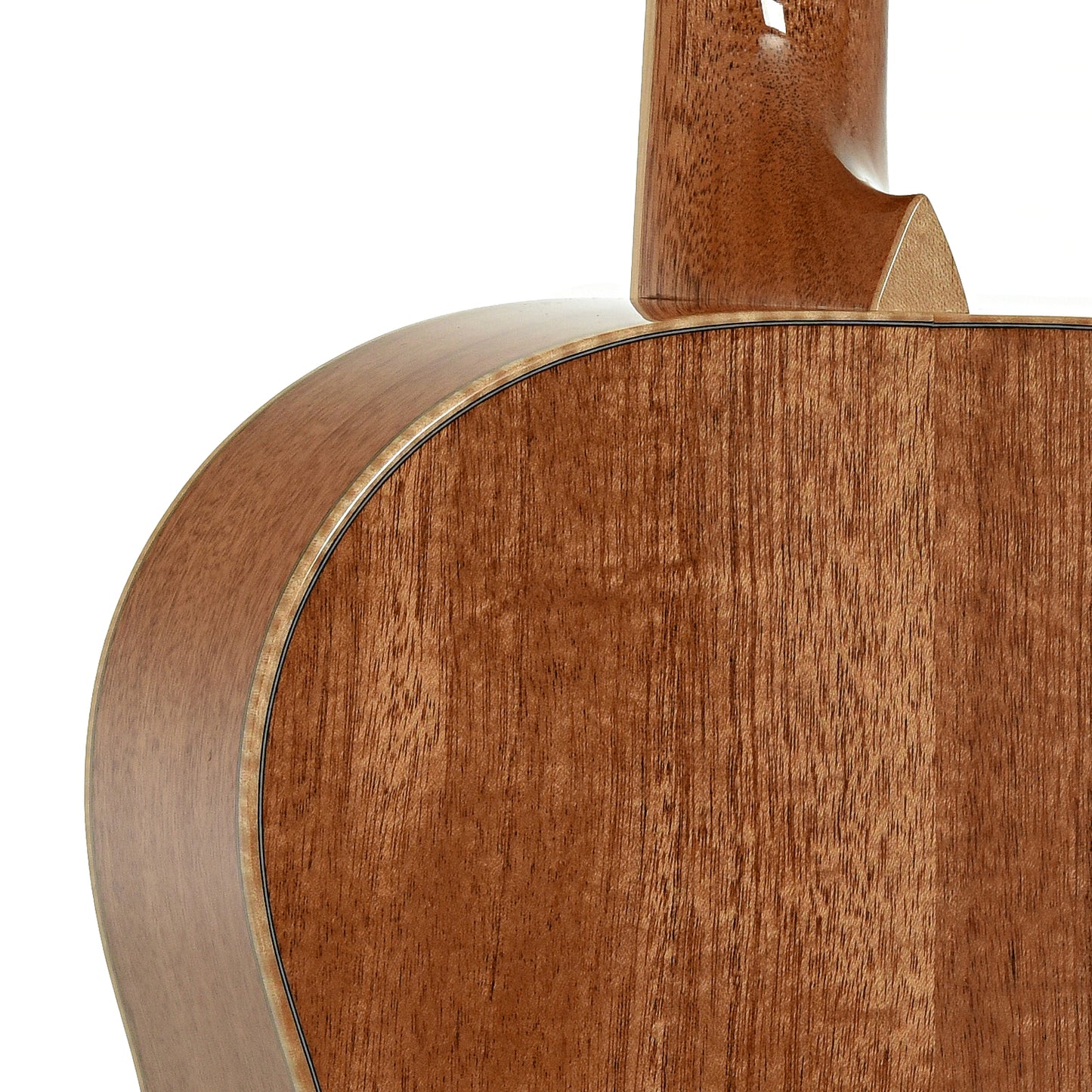 Tuners of Larrivee L-05 Acoustic Guitar