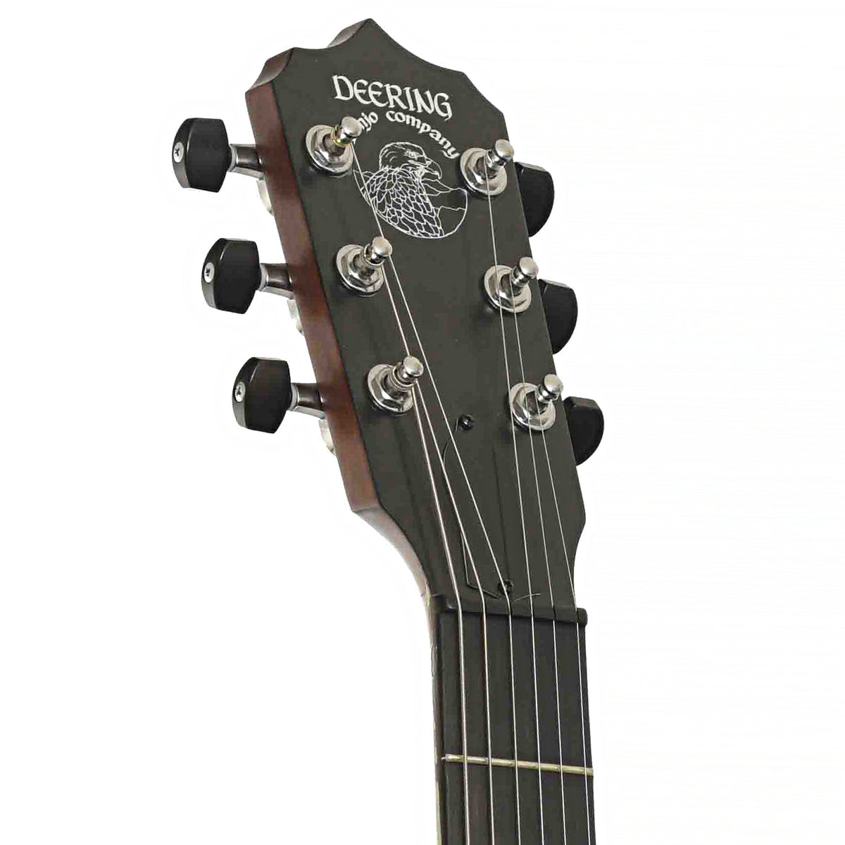 Front Headstock of Deering Boston 6 Banjo-Guitar